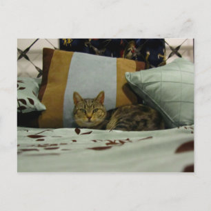 Cartão Postal Princesa Indigo