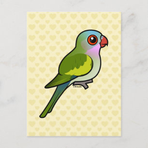 Cartão Postal Princess Parrot
