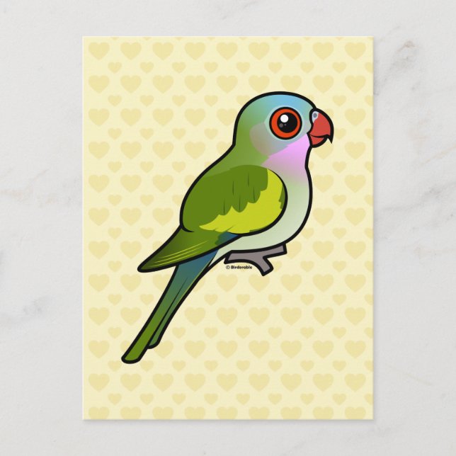 Cartão Postal Princess Parrot (Frente)