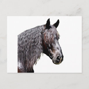 Cartão Postal Príncipe