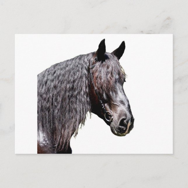 Cartão Postal Príncipe (Frente)