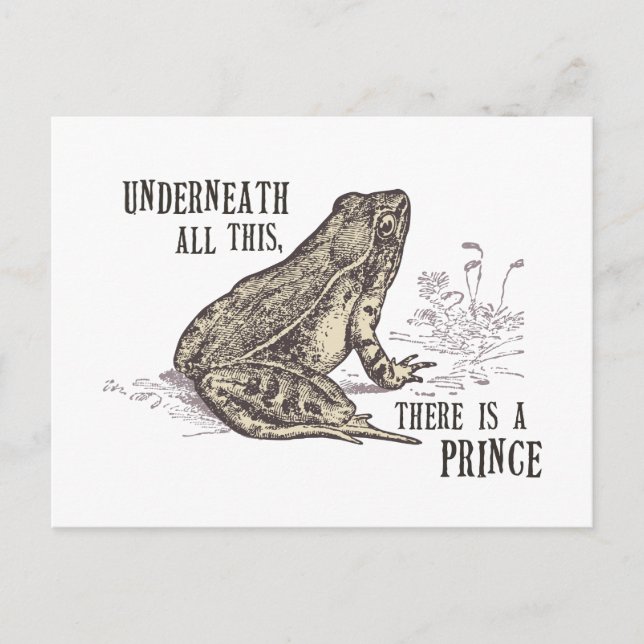 Cartão Postal príncipe sapo (Frente)