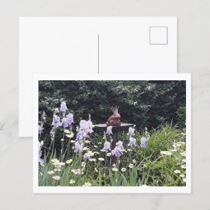 Cartão Postal Príncipe Sapo Romântico e Flores