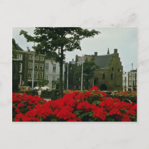 Cartão Postal Prisão Medieval Nas Flores De Haia