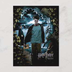 Cartão Postal Prisioneiro de Azkaban - Francês 3