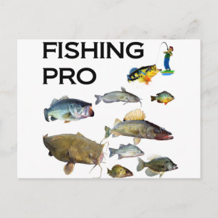 Cartão Postal Pró de pesca