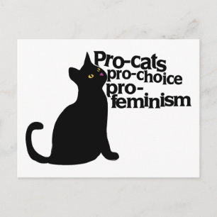 Cartão Postal pró-feminismo pró-gatos