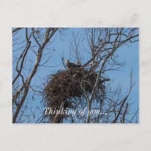 Cartão Postal Problemas de Águia Dupla