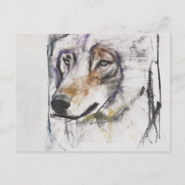 Cartão Postal Processador Al Lupo (Frente)