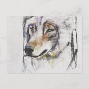 Cartão Postal Processador Al Lupo