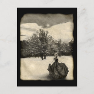 Cartão Postal Procurando - Cartão-postal