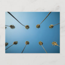 Procurando Palmeiras (Altadena, CA)