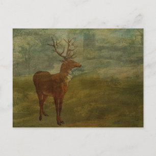Cartão Postal Procurando por Landseer