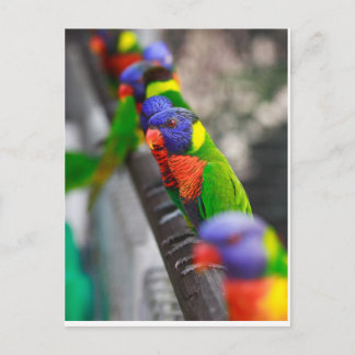 Cartão Postal Procurando por mim?