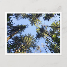 Cartão Postal Procurar