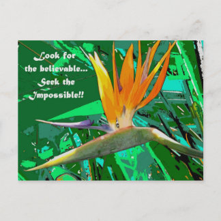 Cartão Postal Procurar...