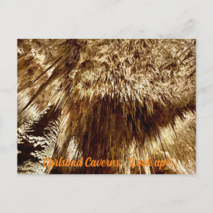 Cartão Postal procurar