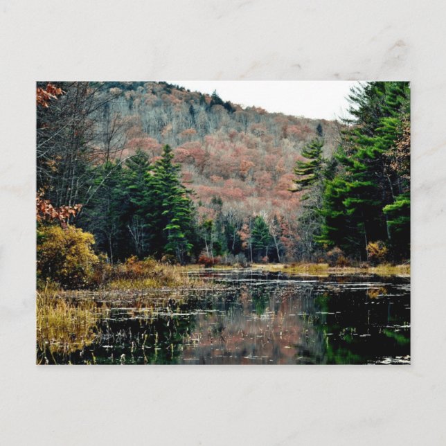 Cartão Postal Procurar Cartão-Postal (Frente)