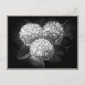 Cartão Postal Produtos de papel branco e preto elegante