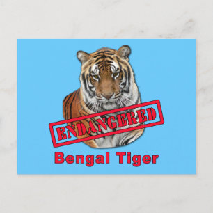 Cartão Postal Produtos de Tigre Bengala Ameaçados