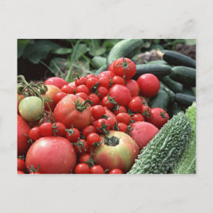Cartão Postal Produtos hortícolas 4