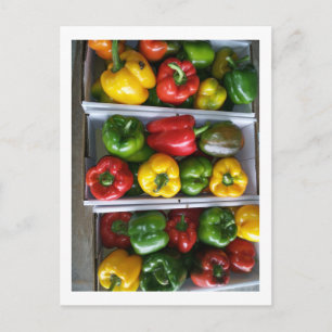 Cartão Postal Produtos hortícolas no mercado Amish