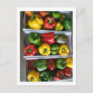 Cartão Postal Produtos hortícolas no mercado Amish