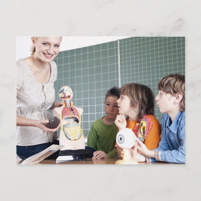 Cartão Postal professor demonstrando modelo de corpo humano para (Frente)