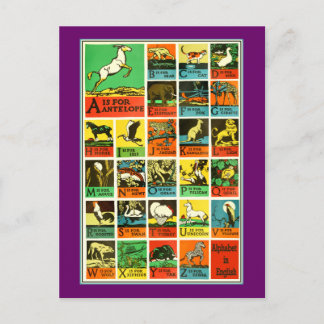 Cartão Postal Professores e principiantes animais da carta do