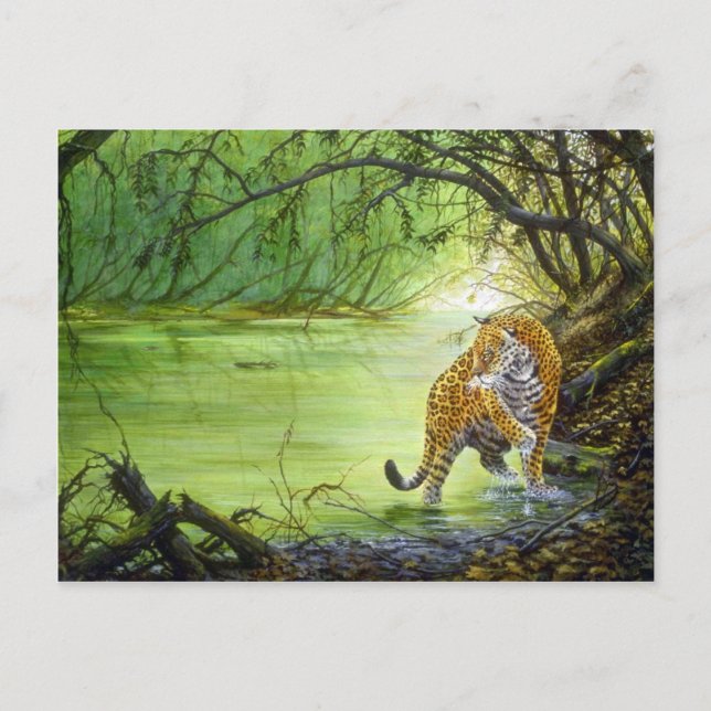 Cartão Postal Profundo na floresta, Jaguar (Frente)