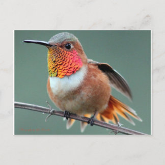 Cartão Postal Pronto para iniciar