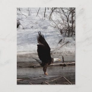 Cartão Postal Pronto para levantar voo