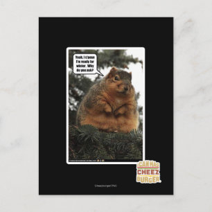 Cartão Postal Prontos para o inverno