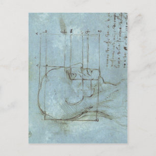 Cartão Postal Proporções da cabeça 1488 1489 ) é um desenho 