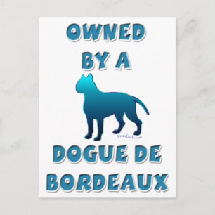 Cartão Postal Propriedade de um Dogue de Bordeaux