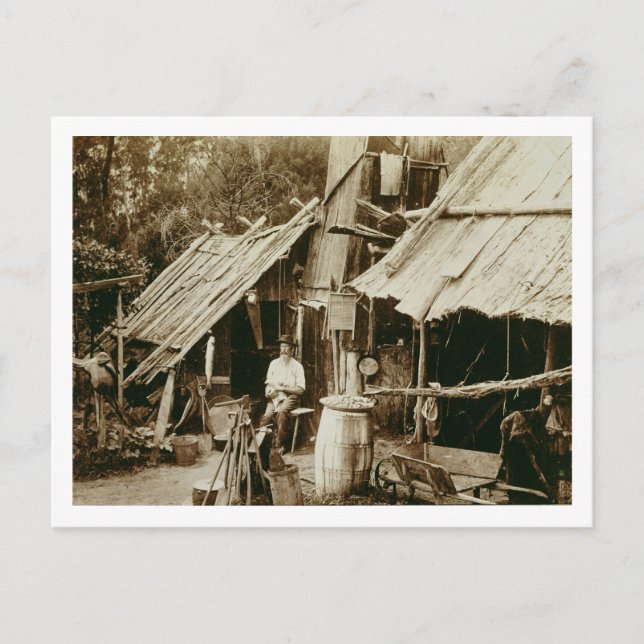 Cartão Postal Prospector australiano, c.1880s (foto sepia) (Frente)