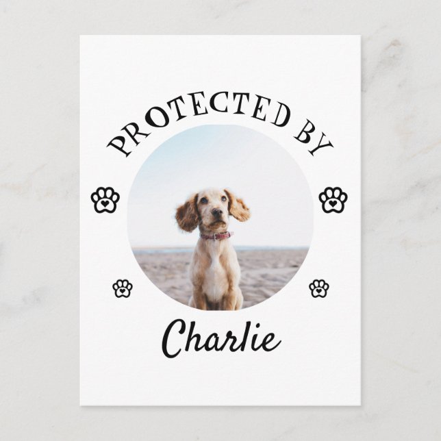Cartão Postal Protected By Dog Photo Paw Print Design (Frente)