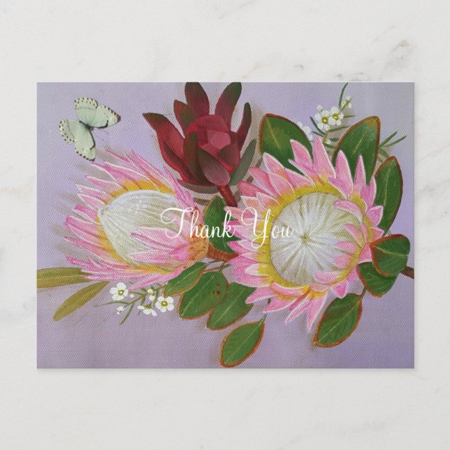 Cartão Postal Proteínas da África do Sul Obrigado (Frente)