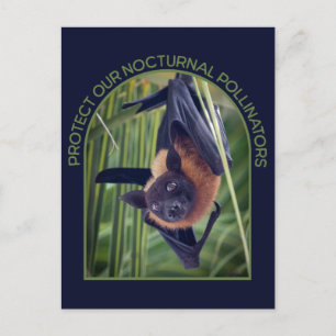 Cartão Postal Proteja os morcegos