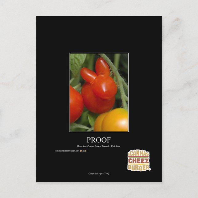 Cartão Postal Prova (Frente)