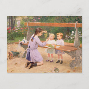 Cartão Postal Provando