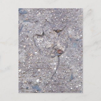 Cartão Postal Provas do Autumn - Leaf Card