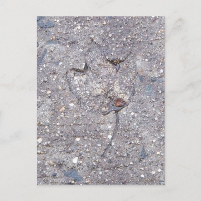 Cartão Postal Provas do Autumn - Leaf Card (Frente)