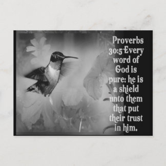 Cartão Postal Provérbios 30:5 SCRIPTURE de BÍBLIA com Hummingbir