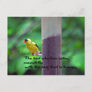 Cartão Postal Proverbo Americano Nativo