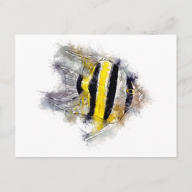 Cartão Postal Pterophyllum AngelFish Aqucolor Presente de Aquári (Frente)