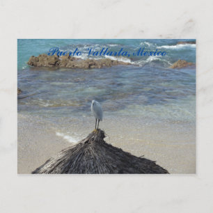 Cartão Postal Puerto Vallarta, México. Garza Blanca