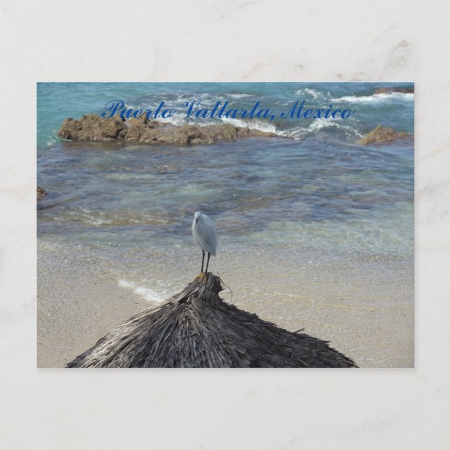 Cartão Postal Puerto Vallarta, México. Garza Blanca (Frente)