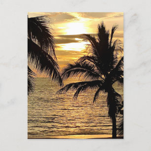 Cartão Postal Puerto Vallarta Ouro Summer Sunset