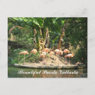 Cartão Postal Puerto Vallarta Postcard